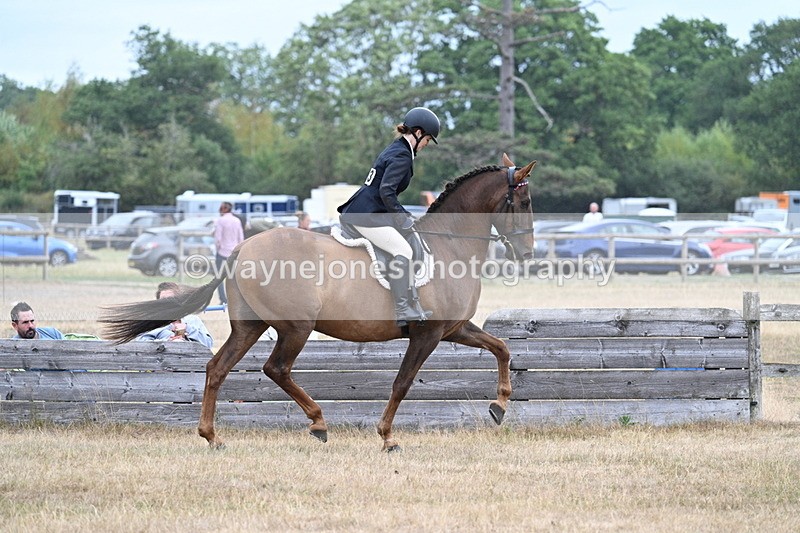 WJ7_0875 - Class 7 Riding Club Show Horse