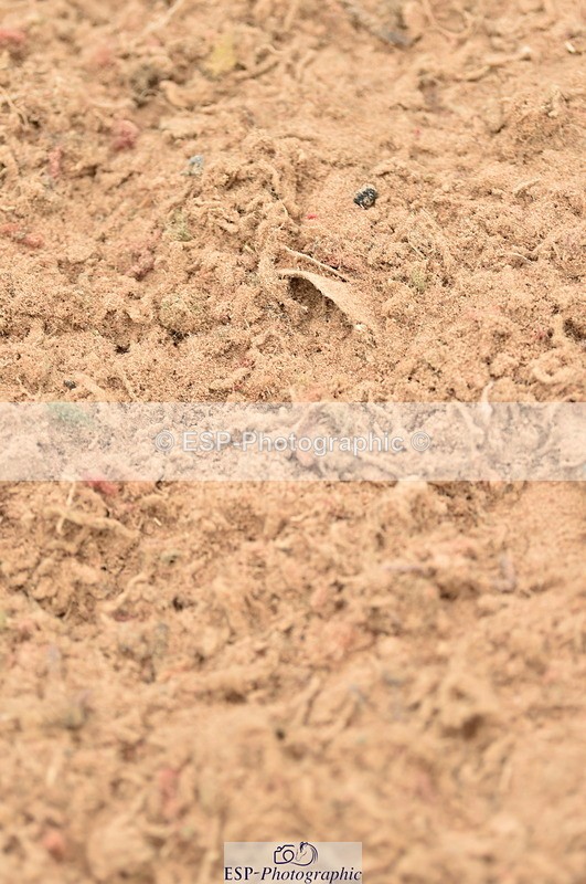 230720A-122102-02526 - Cls 13, 1 Star Bronze 1.10m