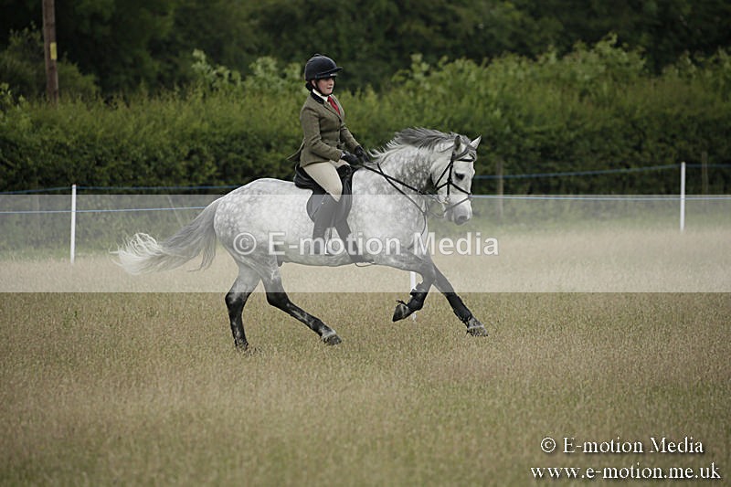 B230619-0140 - Bourne Valley Riding Club Summer Show 23/06/19