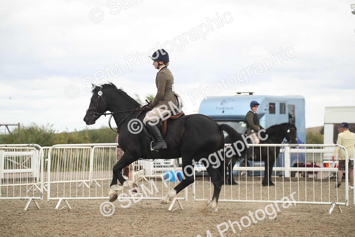 SBM_17732 - Class 508a - Working Veteran 70cm (15-19)