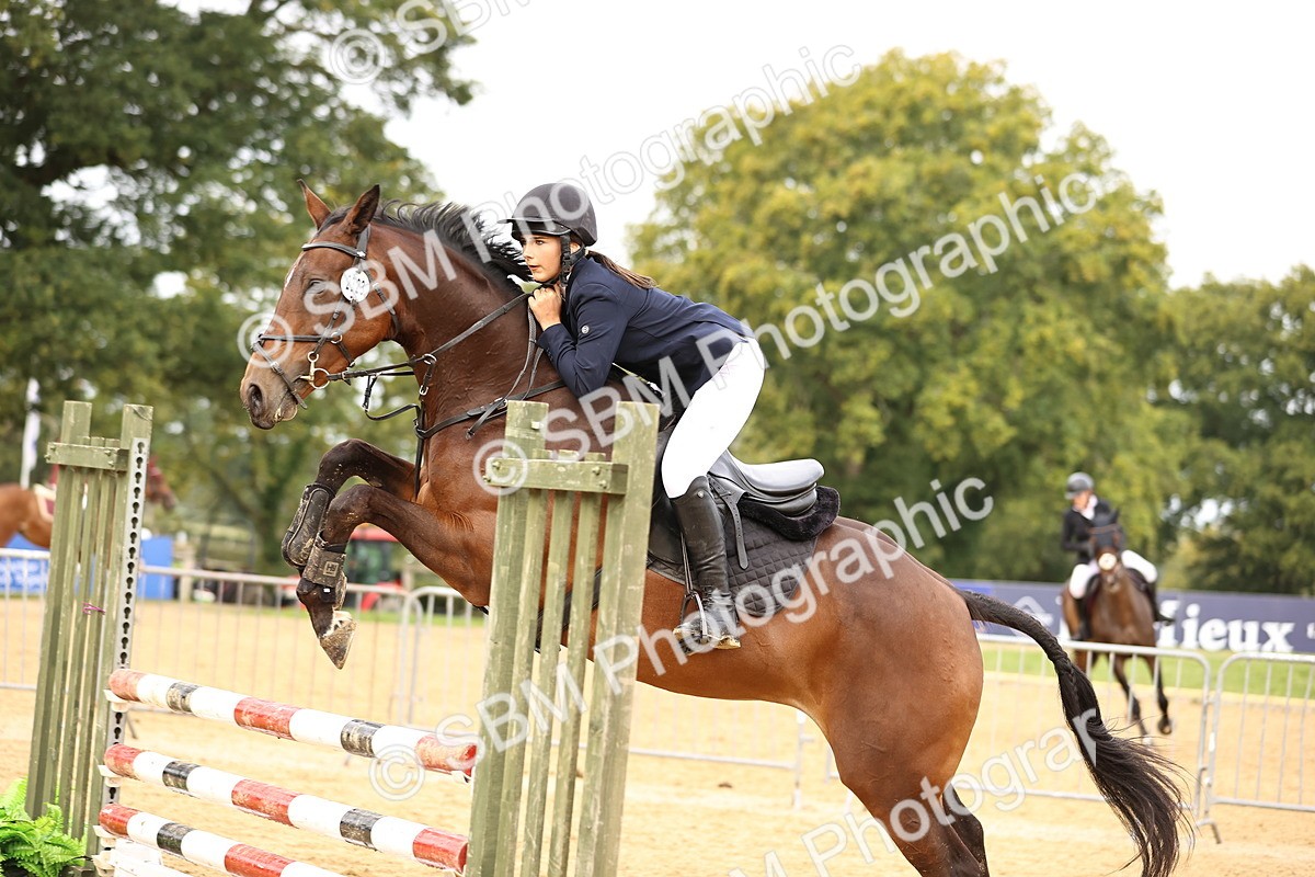 SBM_58373 - J41 - Grand Tour Horse & Pony 95cm