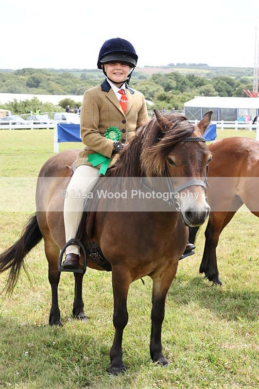 JPP_1991 - Class 18: Tiny Tots Working Hunter Pony