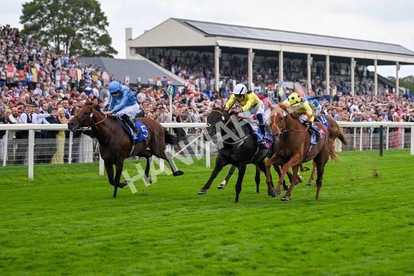 230825-Race 1-King Of Cities-9573 - Race 1 1.50pm Sky Bet Strensall Stakes