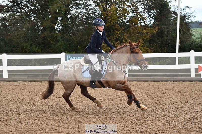 231029A-110746-02561 - Pony British Novice & 80cm Open