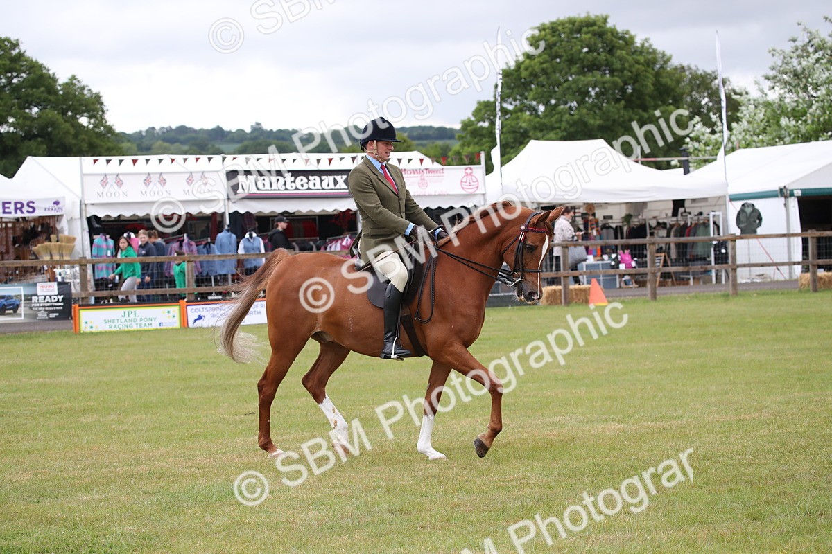 SBM_03624 - Class 21 - 22 - Ridden Arab and Part Bred/Anglo Arab
