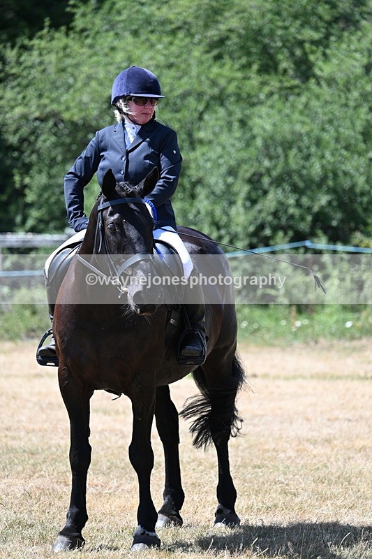 WJ7_3201 - Class 7 Riding Club Show Horse
