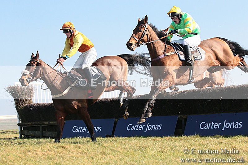 PtP 230219 304 - Vine & Craven Point-To-Point - Barbury 23/02/19