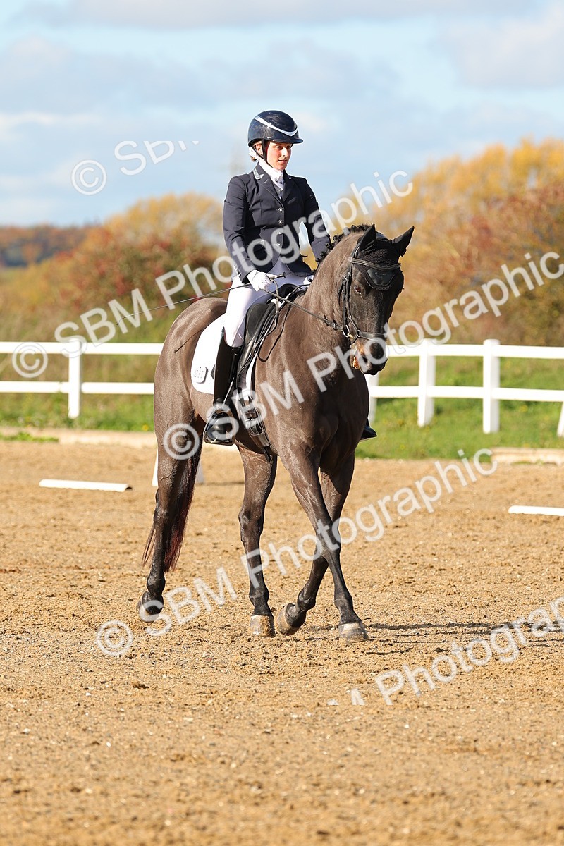 SBM_001381 - Medium 3