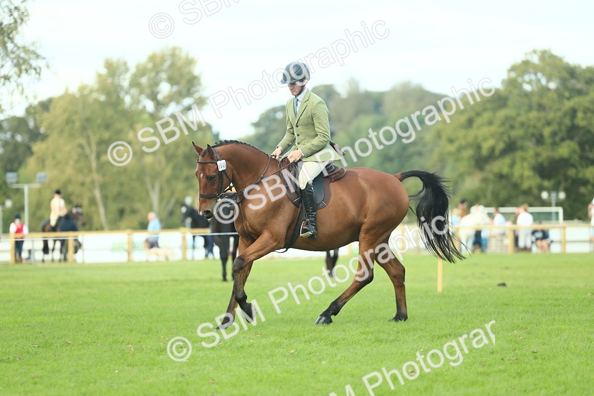 SBM_50745 - S33 - Working Hunter & Working Show Horse