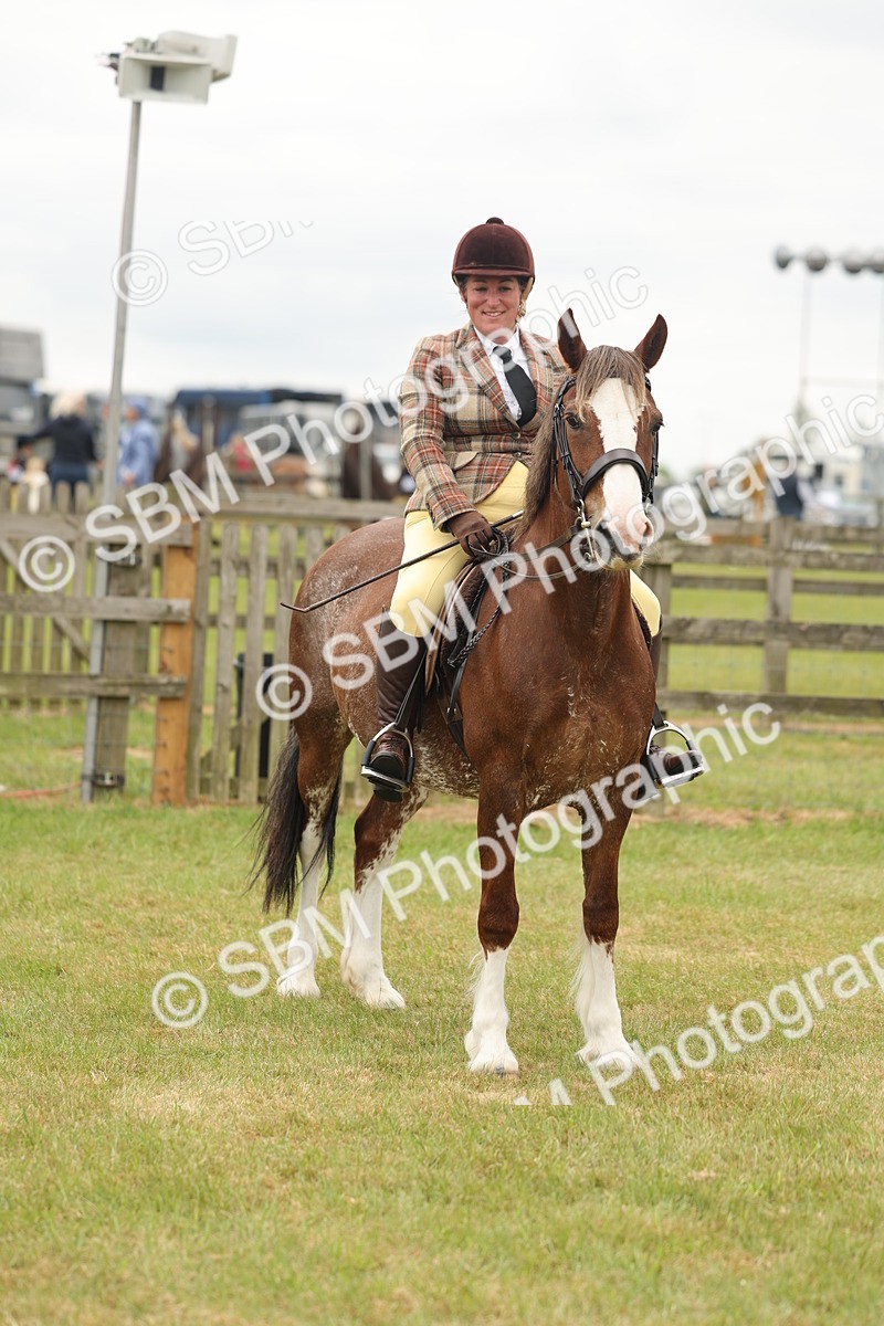 SBM_07233 - Class 76-77 - Ridden M&M Welsh Ponies