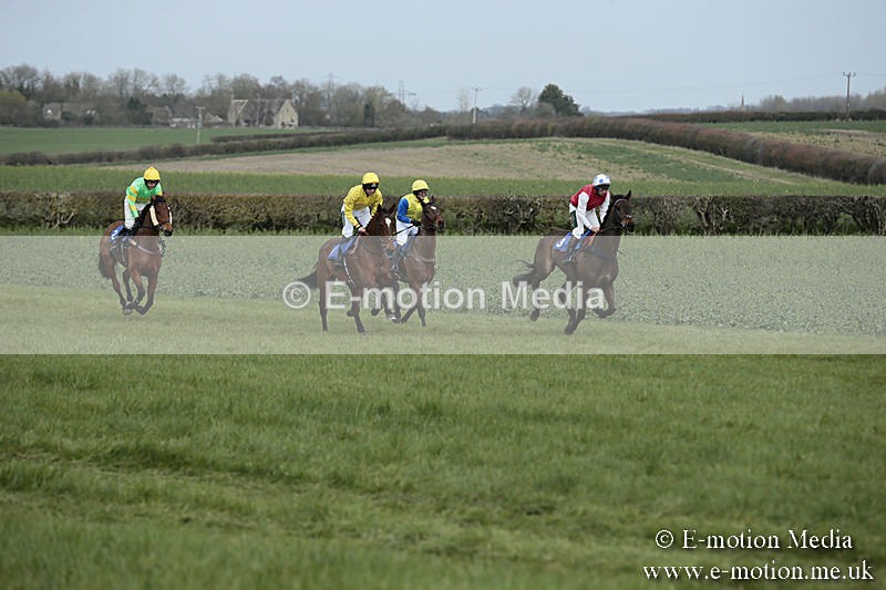 PtP 230319 7 - VWH Hunt Siddington Point-to-Point Racing 23/03/19