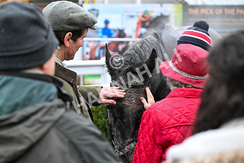 300126-Race 6-Born In The West-0075 - Race 6