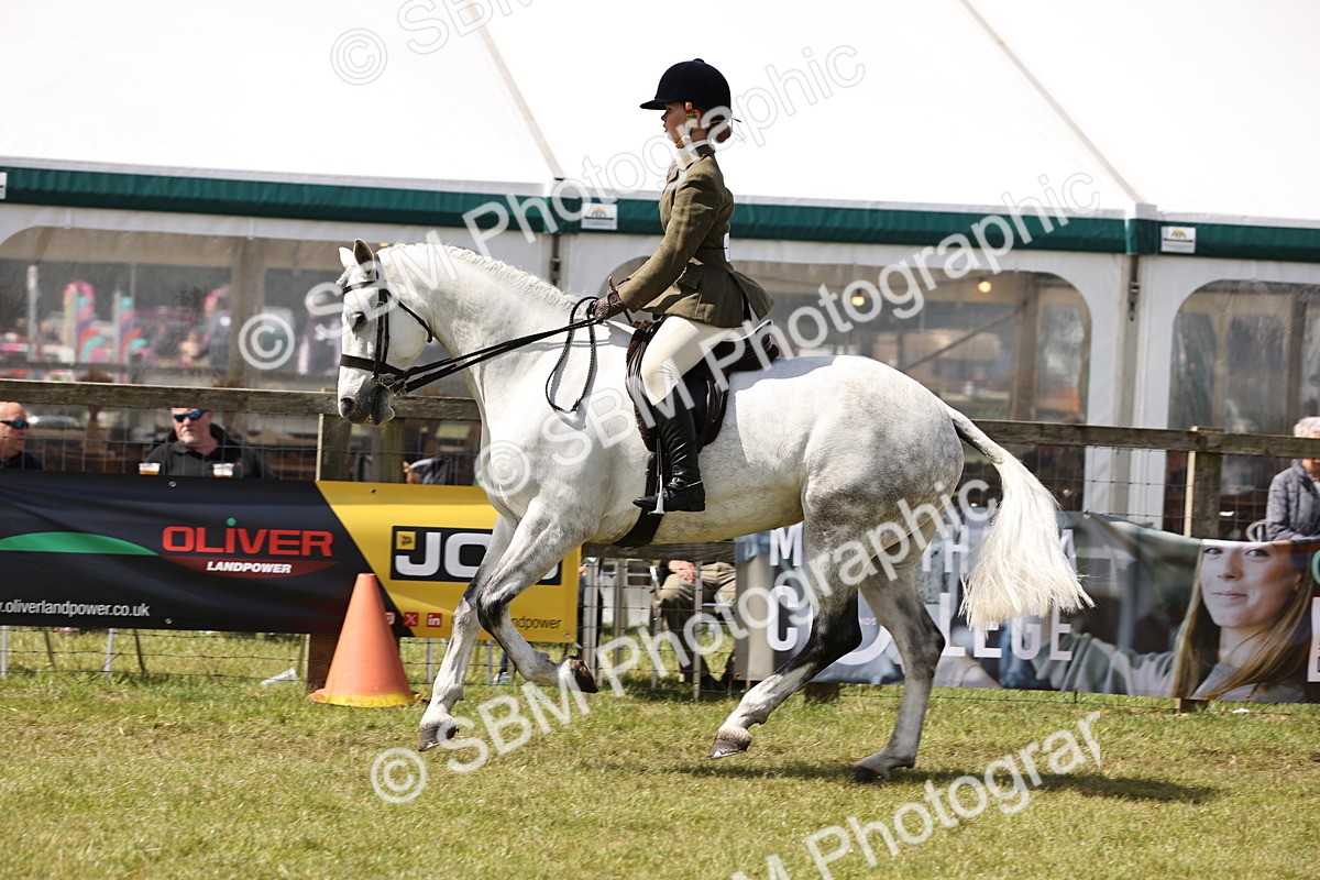 SBM_14557 - Class 88-89 - LIHS BSHA Rising Star of Ridden Hunter Type