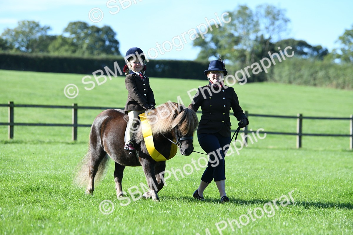 SBM_35497 - S17 - Condition & Turnout - Lead Rein
