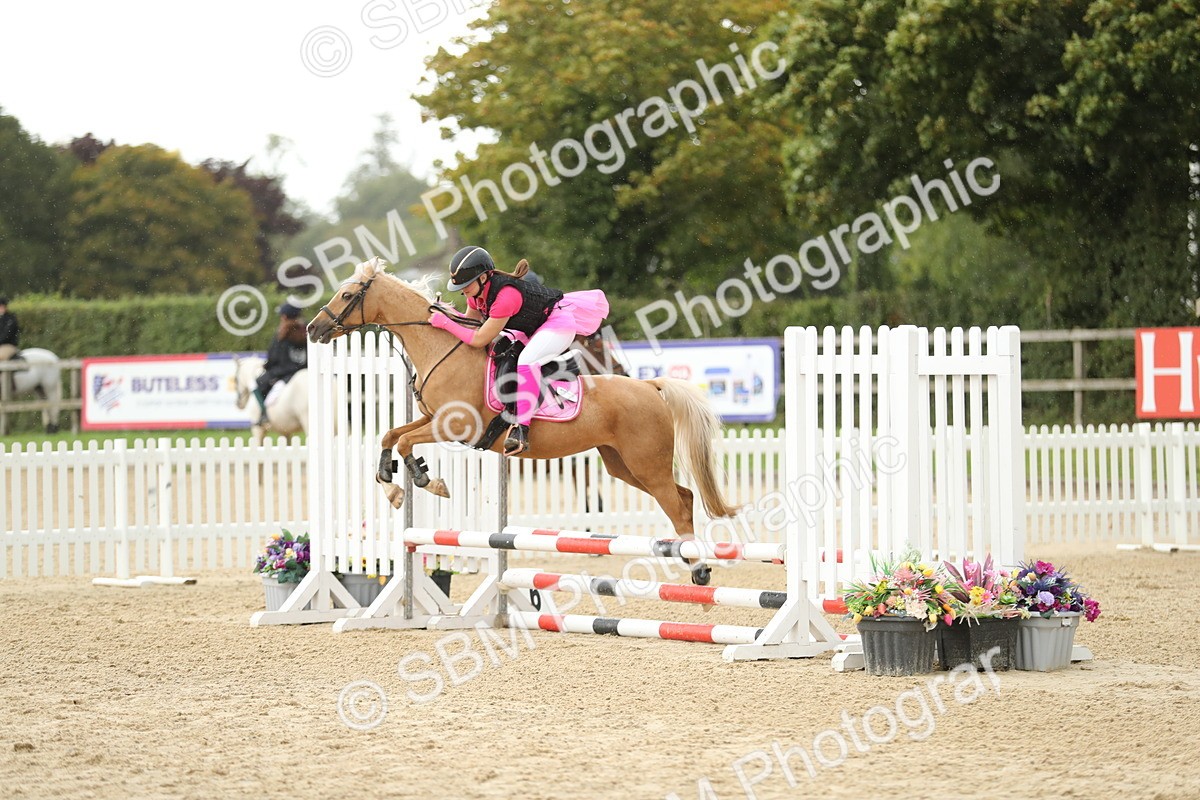 SBM_43623 - J47 - Ride and Run 60cm75cm