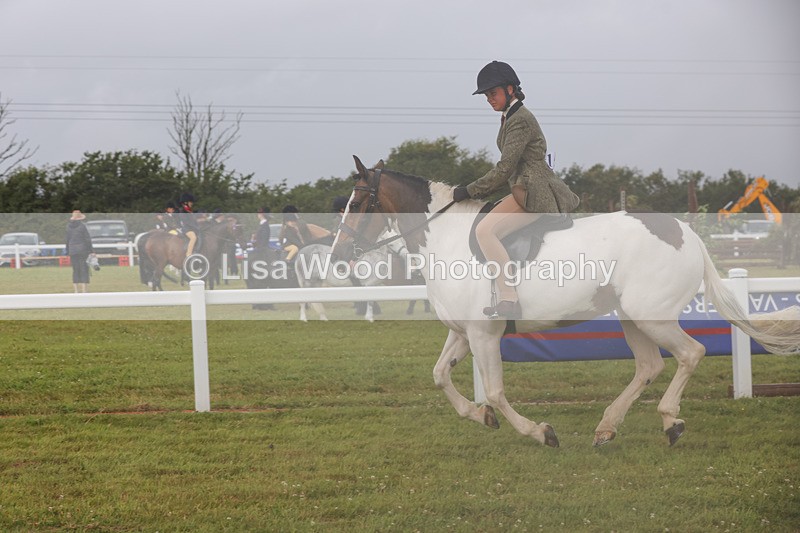 1X9A3026 - Class 26: Ridden Plaited Coloured Pony