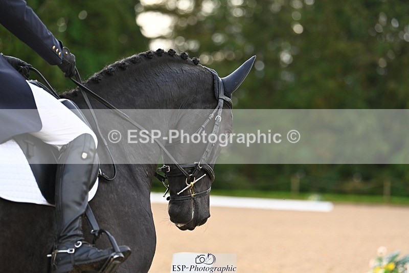 231021-094124-12579 - 226-KILNAMAC.COLLINS-Sydney.Johnson-DR