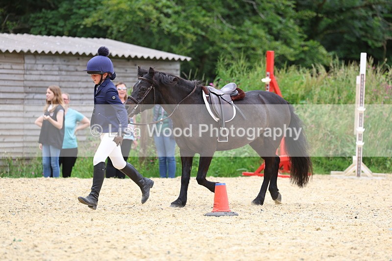 3E7A9337 - Walk trot run