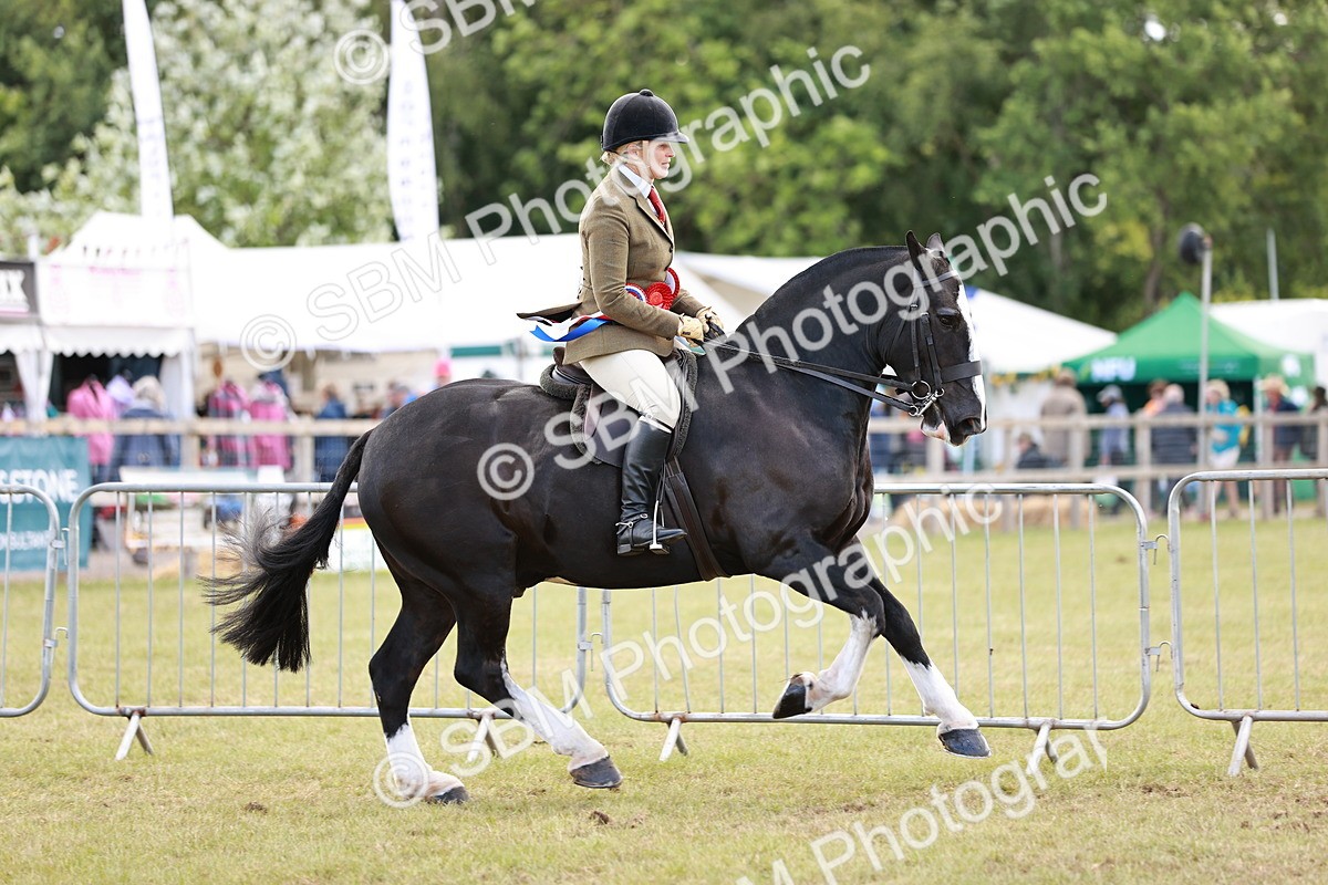 SBM_14121 - Class 85-87 - RIHS Cobs