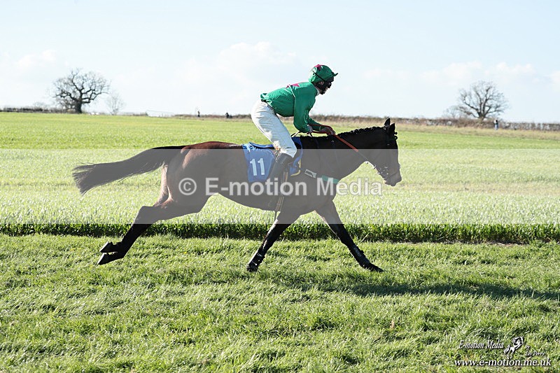 PtP 210326 1090 - VWH Cirencester Races 21/03/26