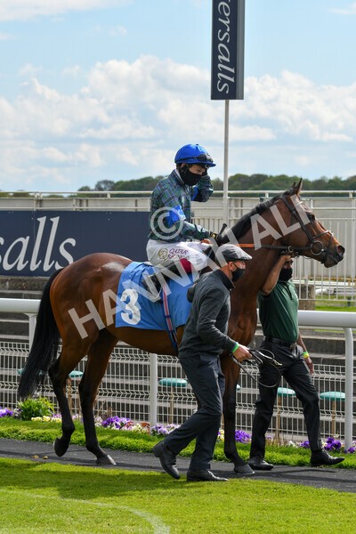 yr12052021r5-8 - Race 5 3.40pm Sky Bet Stakes