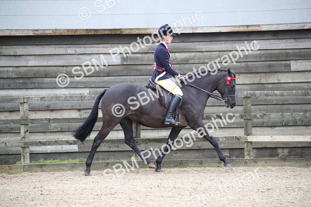 SBM_004726 - Class 5-9 - NPS In Hand-Show Hunter-Intermediate Ridden Inc Ridden Championship