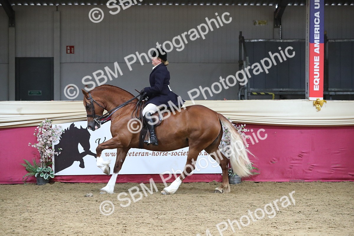 SBM_16394 - Class 502 M&M Ridden Supreme Final