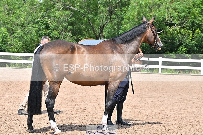 240718A-105318-01829 - Trot Up 1pm to 2pm