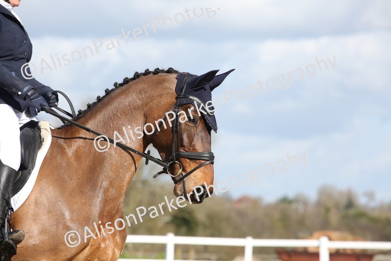 20260314-4118 - CT4 - Novice 1