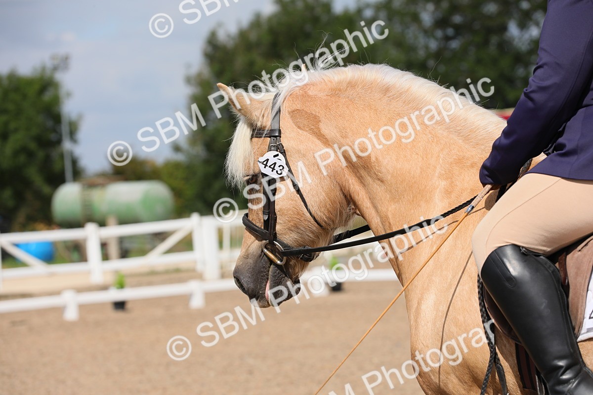 SBM_04026 - Class 31 Prelim 1