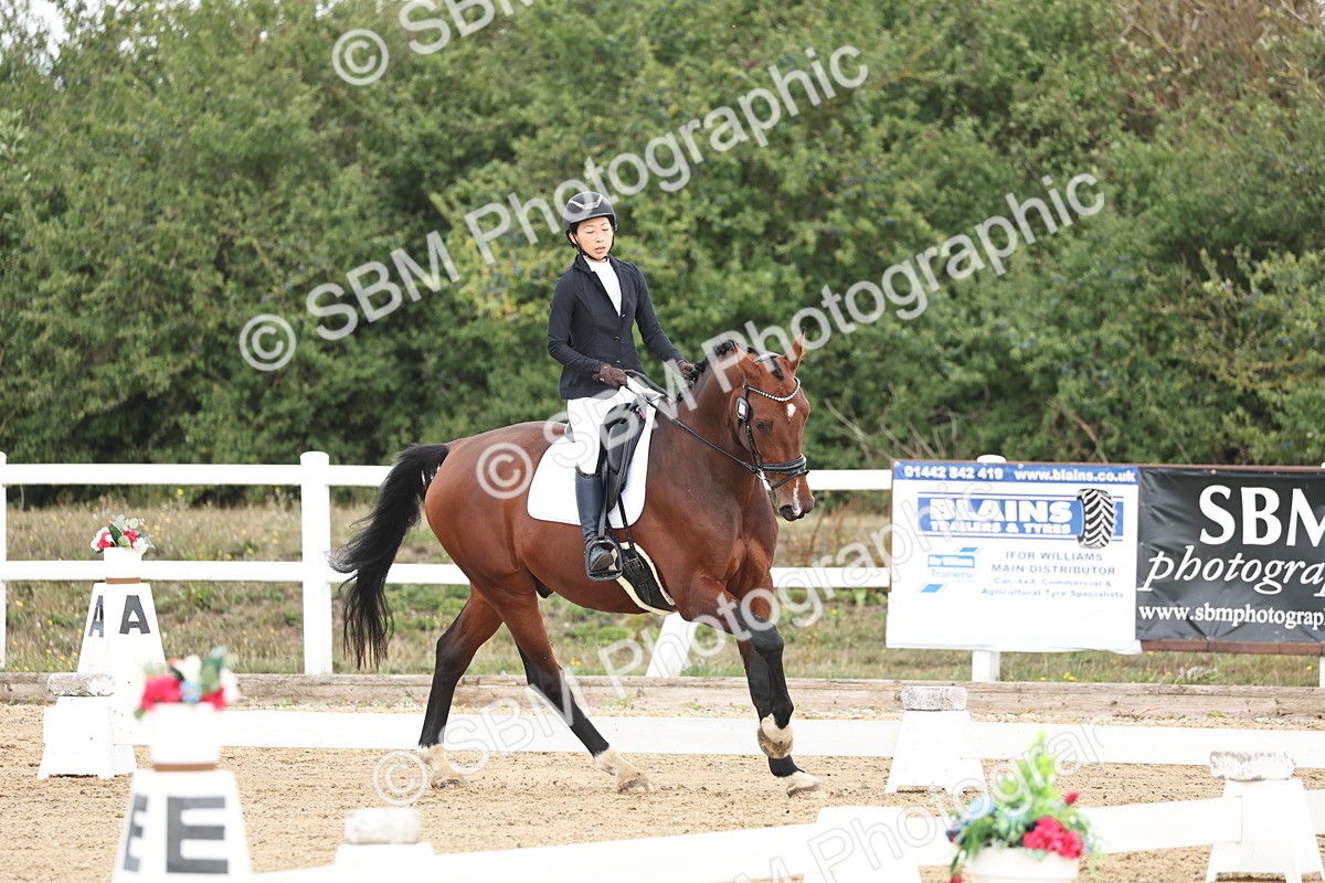 SBM_002520 - Class 7 - Novice 2 Warm Up