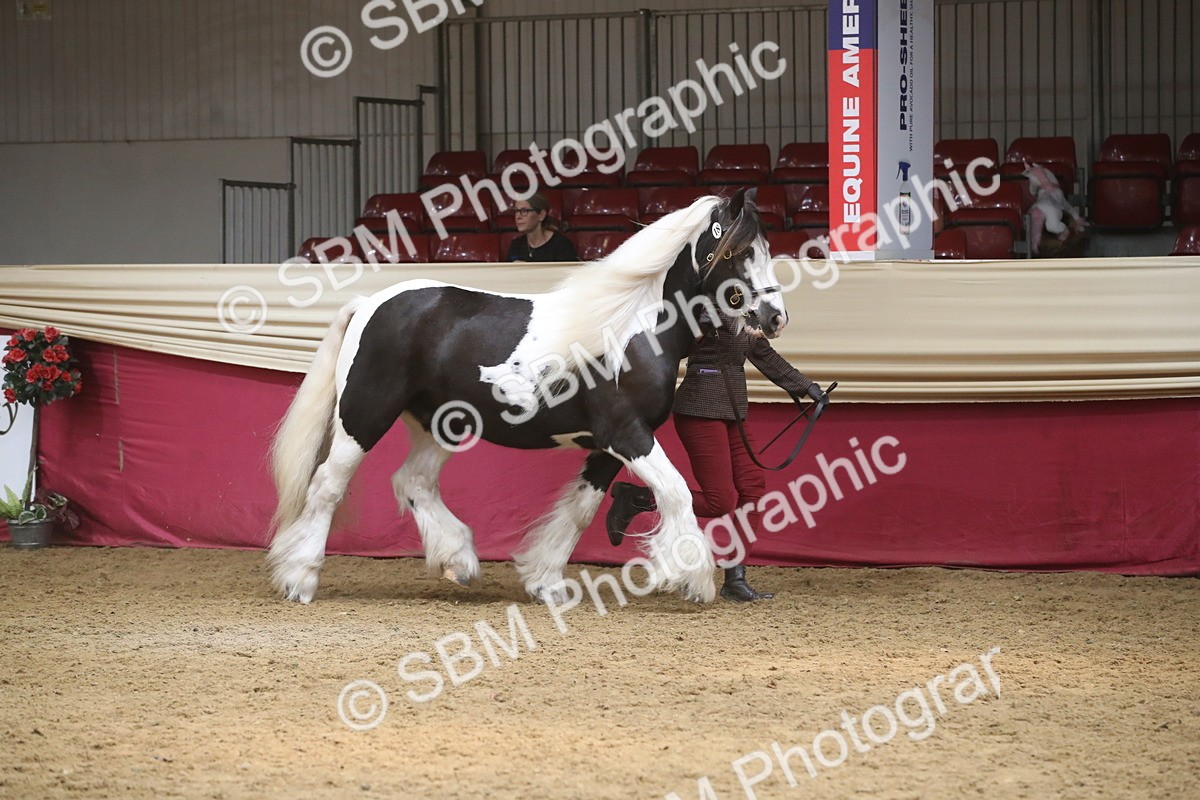 SBM_05556 - Class 9R - Regional IH Pre-Vet