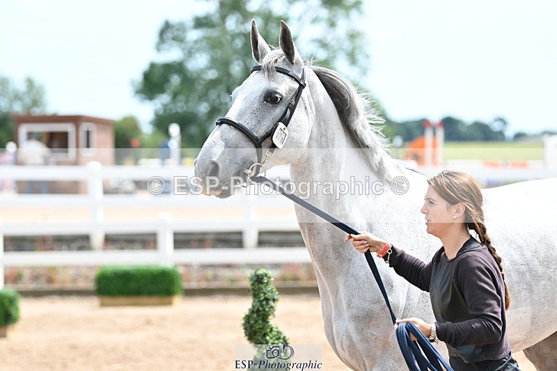 240717A-144351-02248 - Trot Up 2pm to 3pm - This folder is not in time order