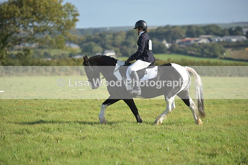 RAY_7313 - Class 2B: Trekenning Open: Dressage