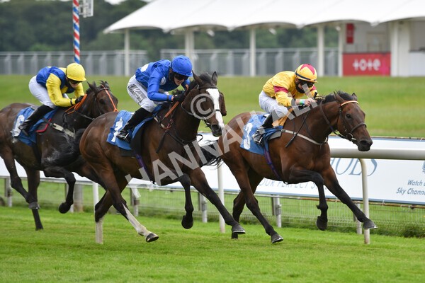 yr11062021r7-16 - Race 7 5.05pm SASH Charity Stakes