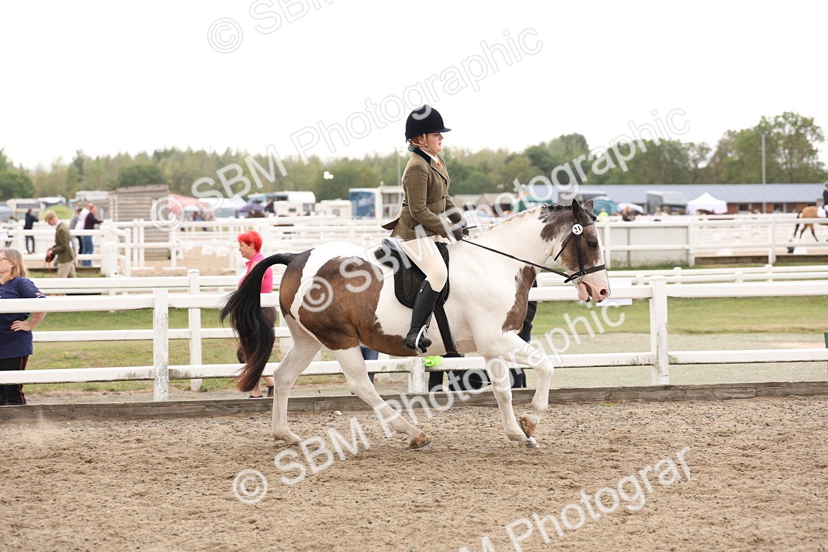 SBM_04192 - Class 54 - Riding Club Horse/Pony