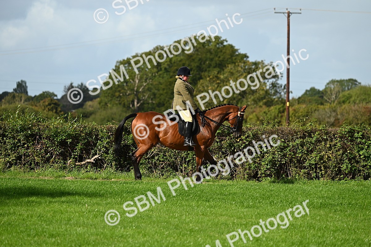 SBM_01658 - S2 - TSR Ridden Horse Showing