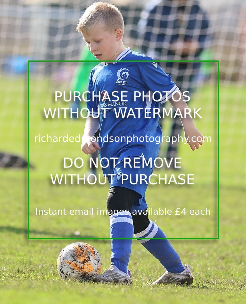 533A8130 - Ibis Under 8's (14/3/26)