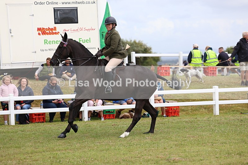 3E7A1041 - Class 8: Open Riding Horse/Hack