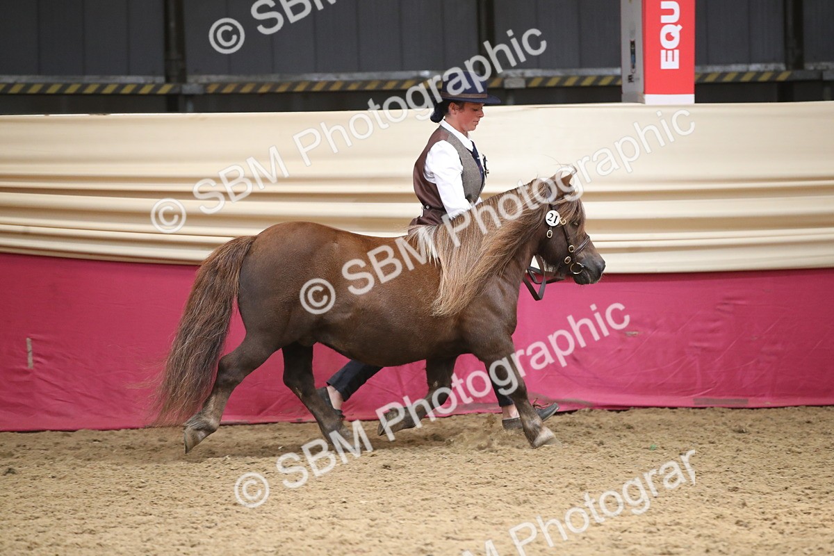 SBM_05303 - Class 8R - Regional IH Veteran