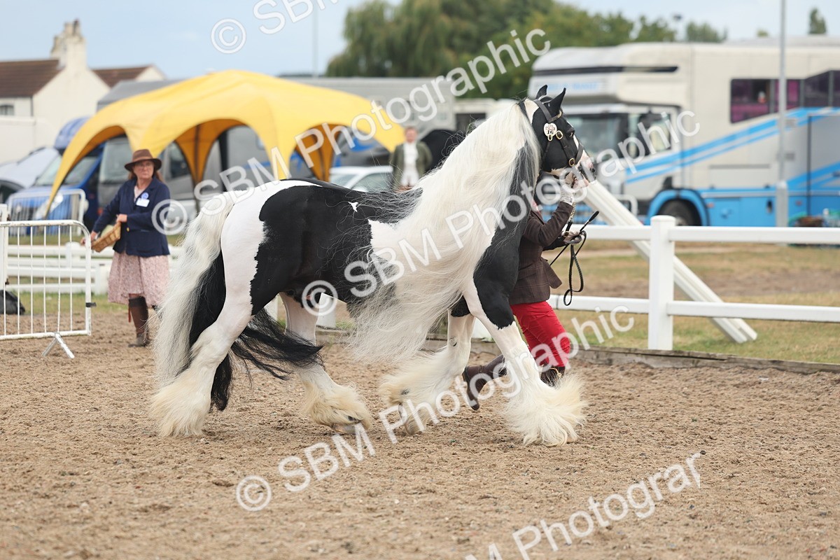 SBM_08496 - Class 29 - IH Veteran Pony