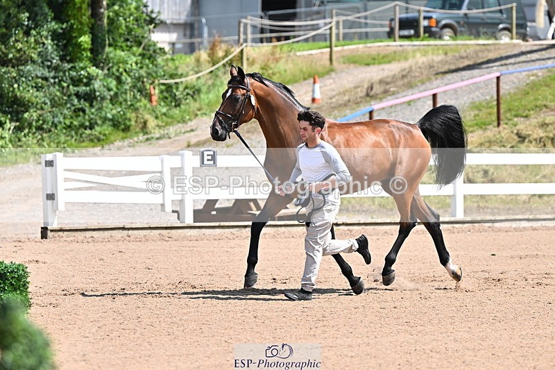 240718A-105239-00974 - Trot Up 11am to 12pm