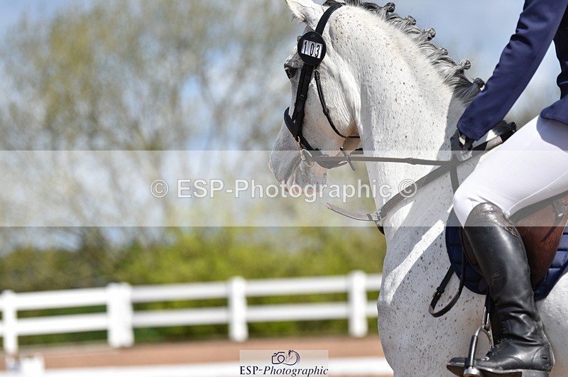 230511A-100020-00168 - BD Cls 2 Prelim 17A