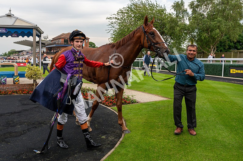 160626-Race 2-Lorcas Waltz-2115 - Race 2 19.00pm Connexin Ultrafast Maiden Stakes