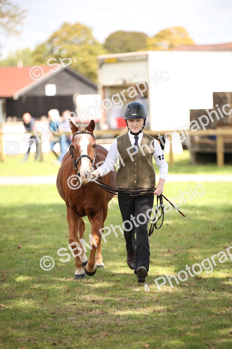 SBM_44448 - S24 - Young Veteran in hand