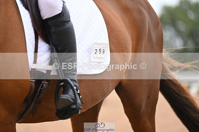 240815A-103119-00113 - 259-Amy.Harris-Stormhill.ultima