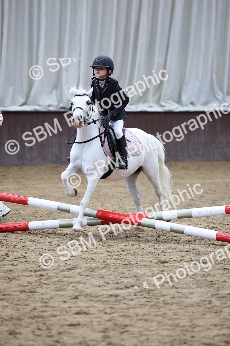 SBM_006963 - Class 1 - 40cm showjumping