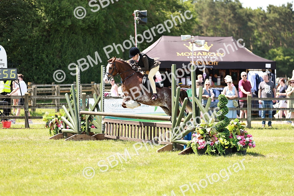 SBM_15526 - Class 108-109 - BSPS LIHS Open Gradle & Nursery Stakes
