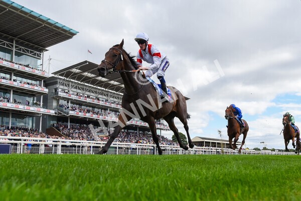 yr17082022r3-31 - Race 3 3.00pm Sky Bet Great Voltigeur Stakes