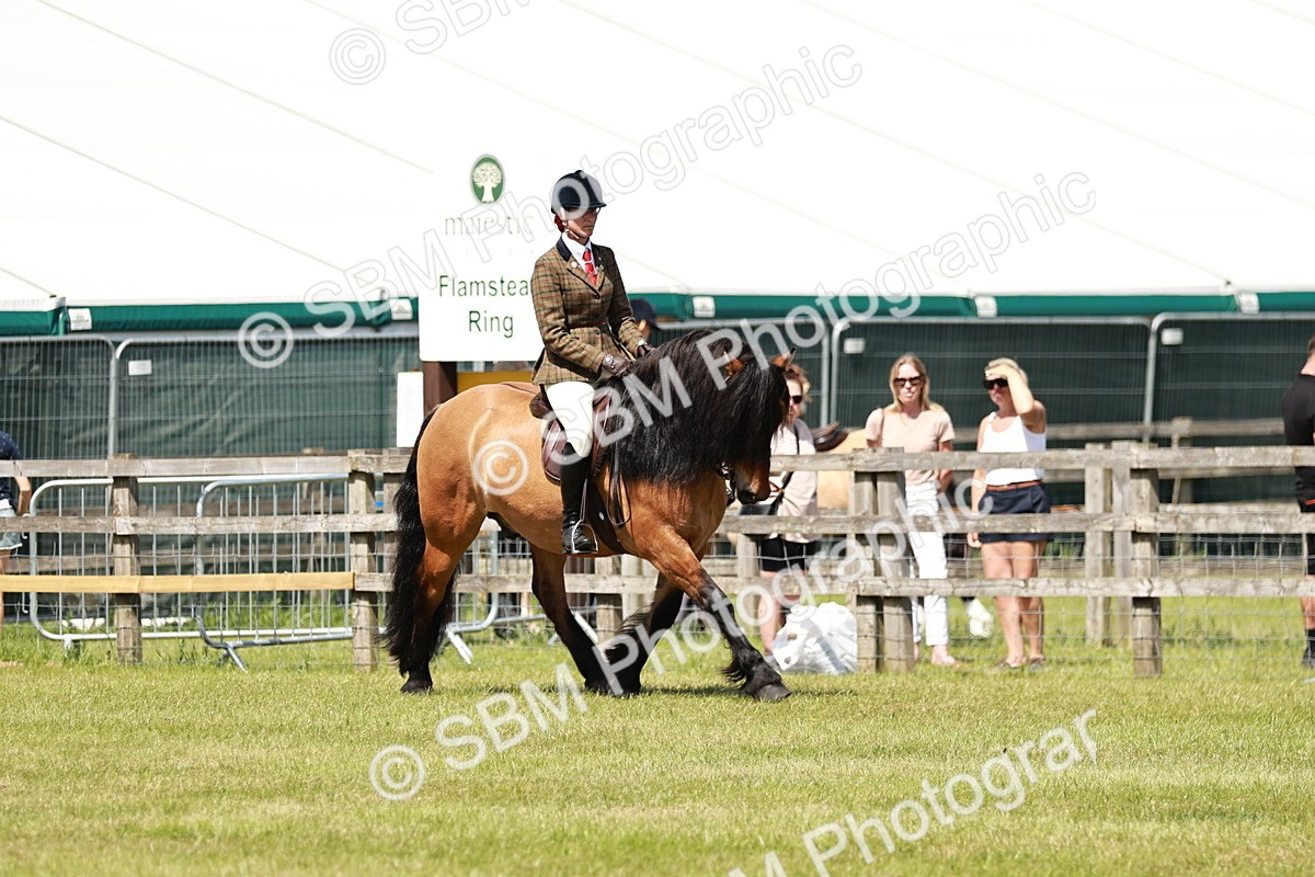 SBM_07099 - Class 26-30 - Mountain and Moorland Ridden